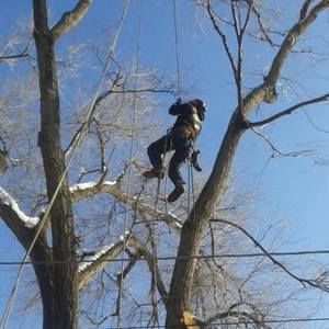 Meet your Posher, Travis